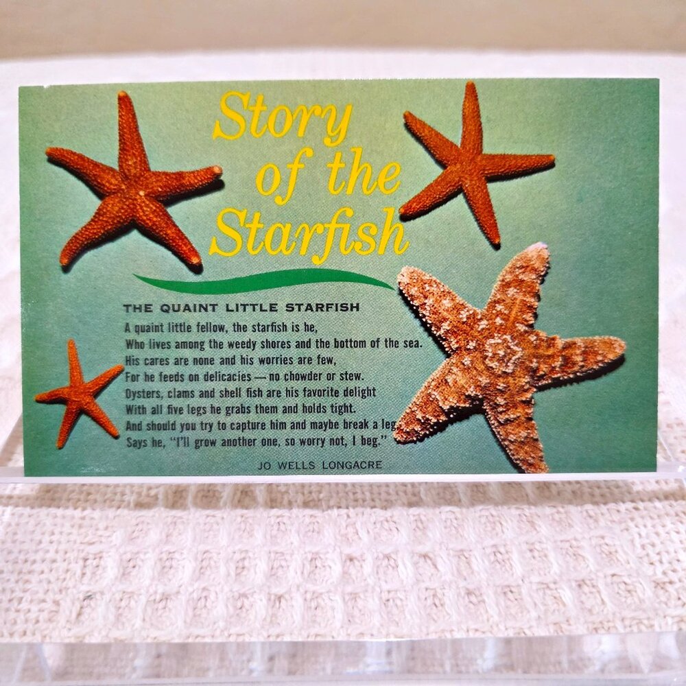 Vintage Story of the Starfish The Quaint Little Starfish HS Crocker Postcard UNP